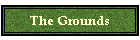 The Grounds