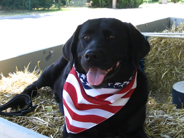 Billie closer 9yrs 4th of July 05