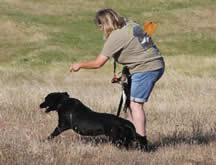 Sending Sable MRC